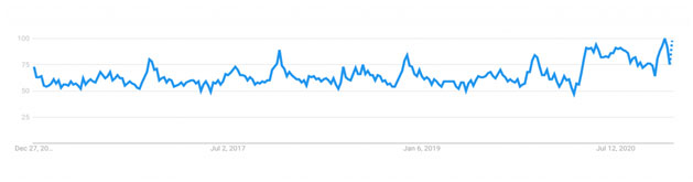 Search results of pillows in ecommerce stores in recent years