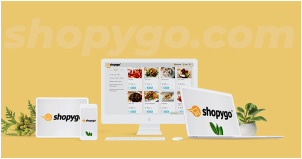 Best e-commerce solution to sell online