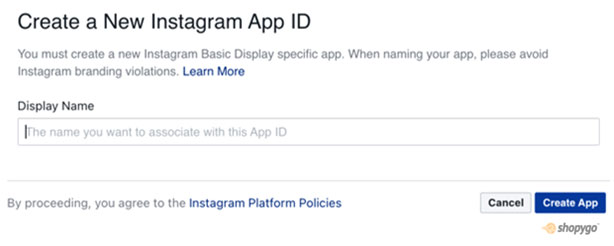 basic display option for instagram token access