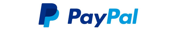 PayPal ecommerce payment platform for online business transactions