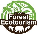 Review about Shopygo Ecommerce platform by Kerala forest EcoTourism