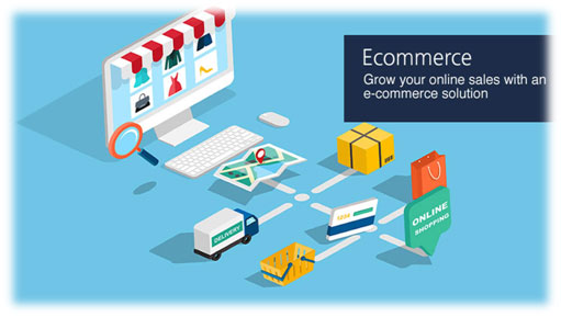 Effective low budget ecommerce solution to grow business online