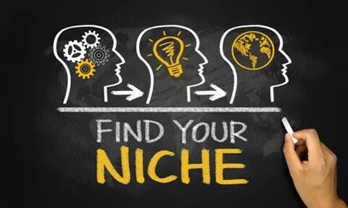 Selecting niche for  an online business from home